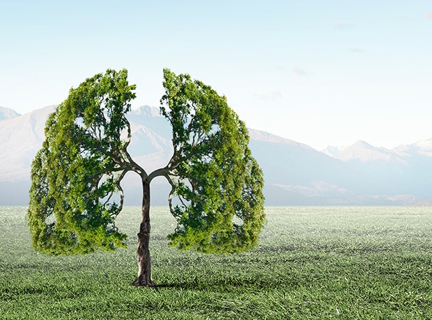 Découvrez le nouvel Ecoflo 5 EH (plus complet)