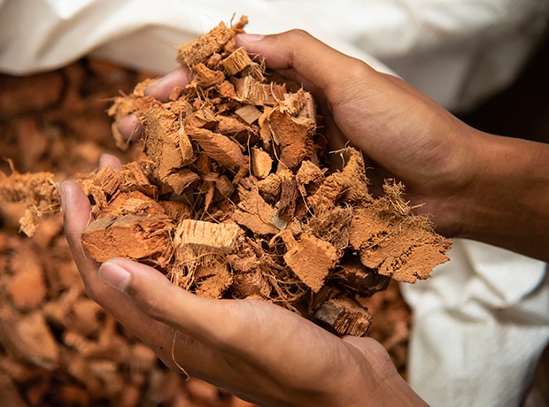 Assainissement – le filtre coco Ecoflo